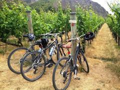 Half-Day Self-Guided Ride and Wine Bike Tour from Arrowtown